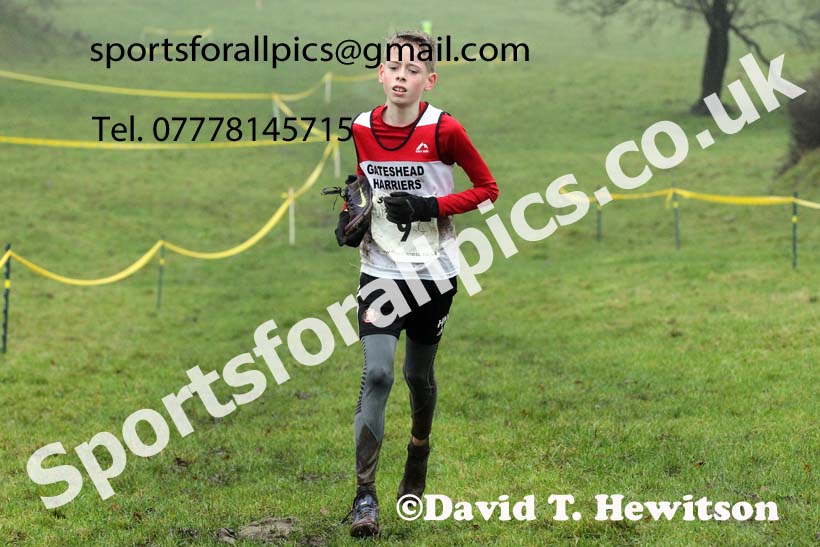 Boys under-13s, NECAA Junior Cross Country Relays, Thornley Farm, Peterlee, Saturday, December 12th. Photo: David T. Hewitson/Sports for All Pics